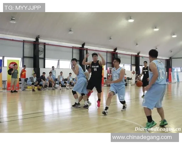 南京排球队在钻石联赛中的技术表现分析与未来发展展望